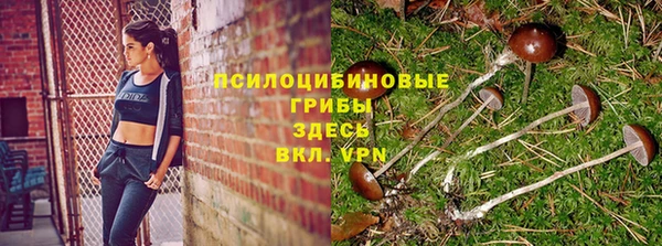 прущие крисы Абдулино