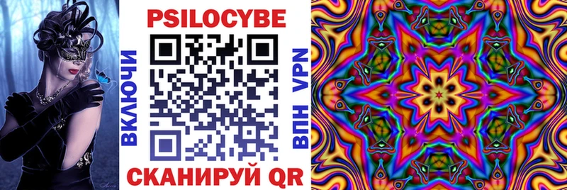 Галлюциногенные грибы Psilocybine cubensis Таштагол